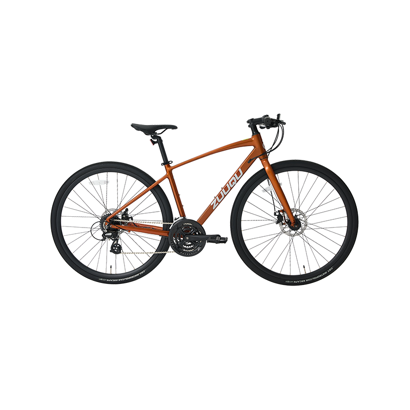 Rothar bóthair luais 700c chasmhóiminte
