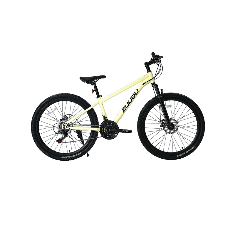21 coscán diosca luais 26 "MTB