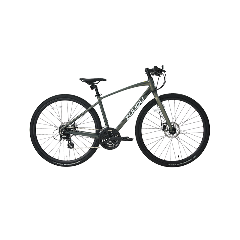 Rothar Bóthair Roth Alloy 700c